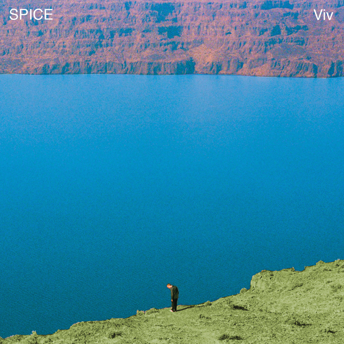 SPICE: Viv, recorded at The Panda Studios
